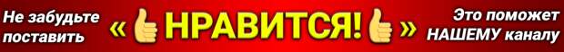 Военно-политический блок, который создает Россией [и уже начал функционировать] в Латинской Америке в прямой близости к границам США — это аналог альянса НАТО. Об этом сообщила офпред МИД РФ.-2