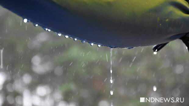 Синоптики предупредили о сильных осадках в Свердловской области