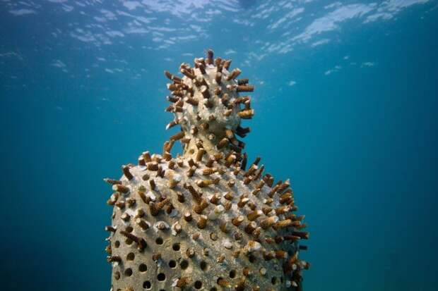 Даже подводная скульптура с прорастающими кораллами смотрится мрезковато гадость, мерзкое, слабонервным не смотреть, ужас, факты