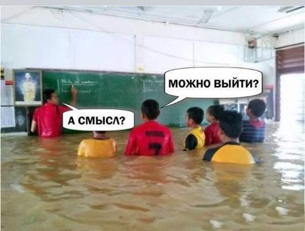 Смешные комментарии из социальных сетей Смешные комментарии из социальных сетей