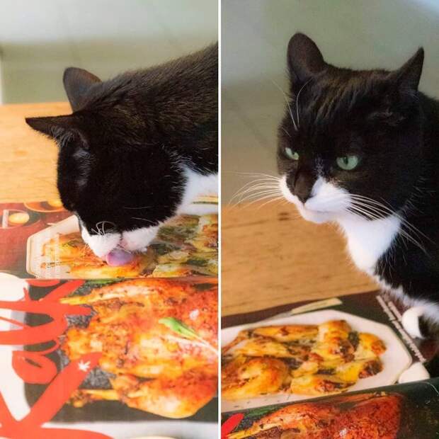 Забавные муркотики