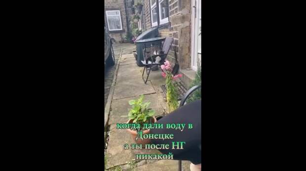 Video: VivaCut_video_1736006890083_HD.mp4