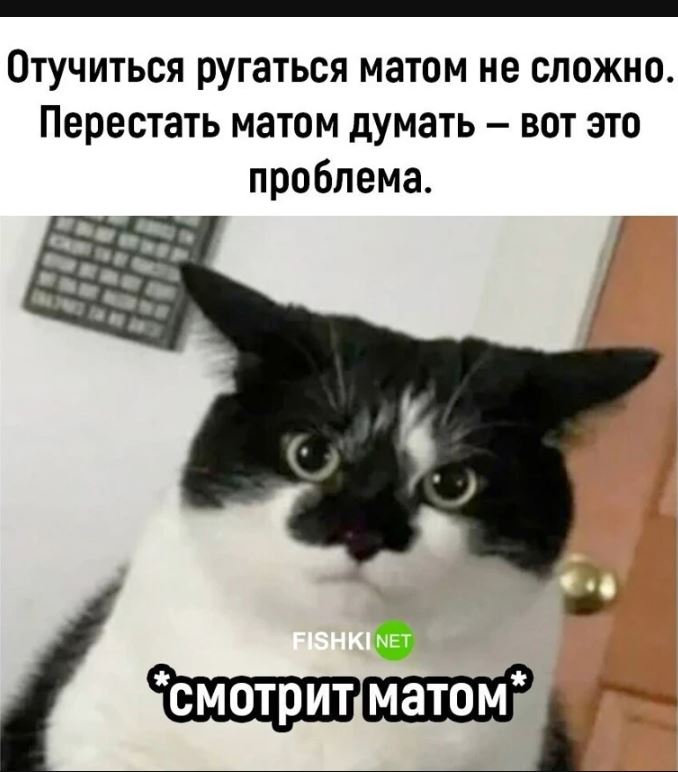 картинки с приколами для поднятия настроения (18)