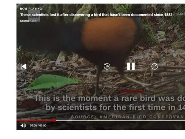 Ученым удалось выследить считавшуюся вымершей птицу