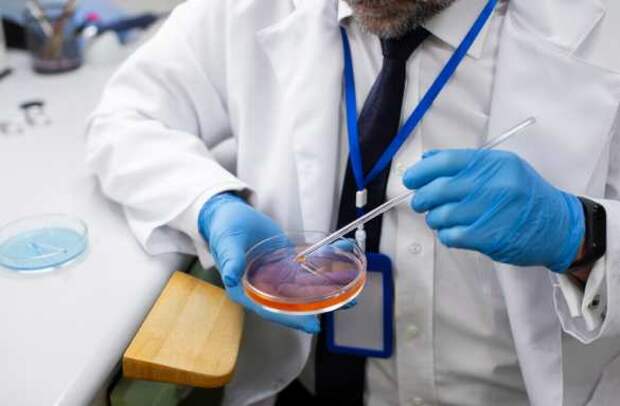 Россия и Индонезия создадут лекарства из редких тропических растений