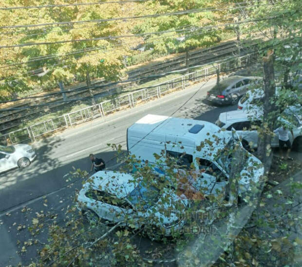 В Краснодаре на Ставропольской на автомобиль рухнуло дерево: как все произошло