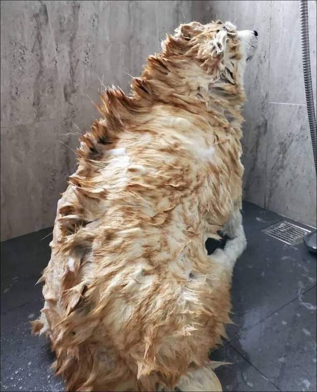 фото приколы