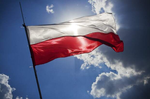 Польша планирует построить 19 наблюдательных вышек на границе с Россией