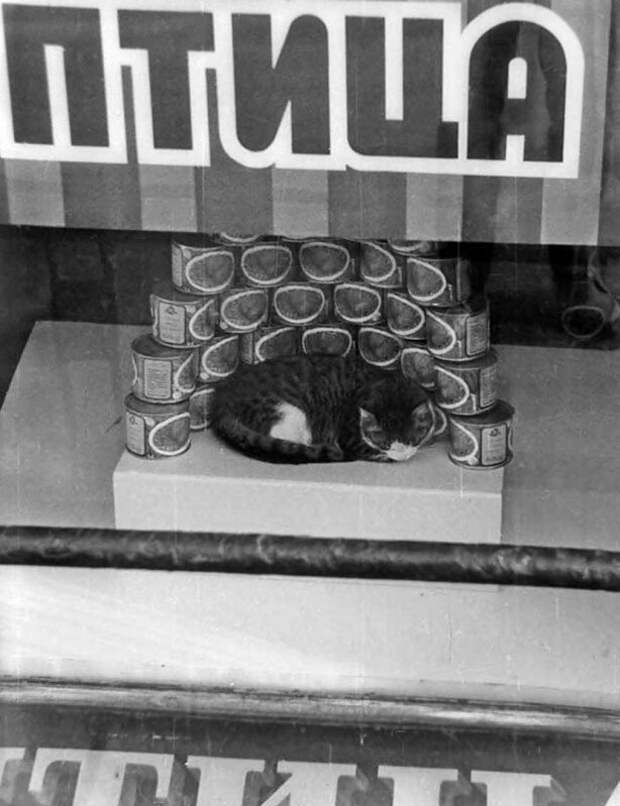 Ретро фотографии Ретро фотографии