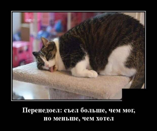 Демотиватор про переедание