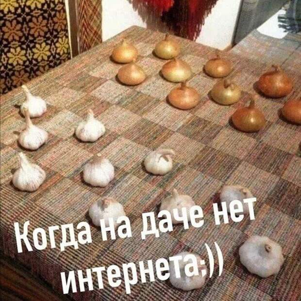 Смешные и познавательные картинки