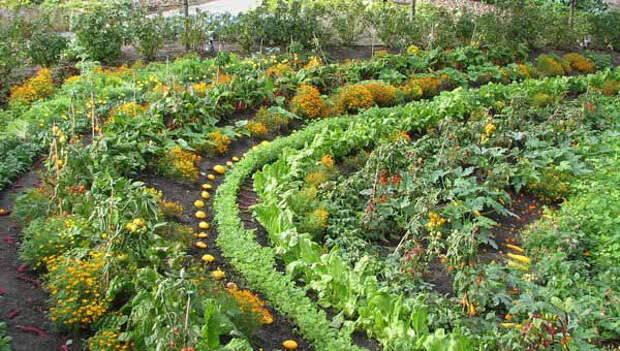 krasiviy-ogorod-foto-10 (600x340, 303Kb)