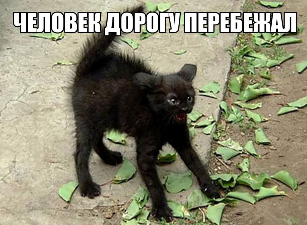 tVg6XFkhiHE