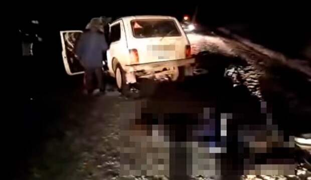 Два чиновника разбились насмерть на трассе под Сургутом