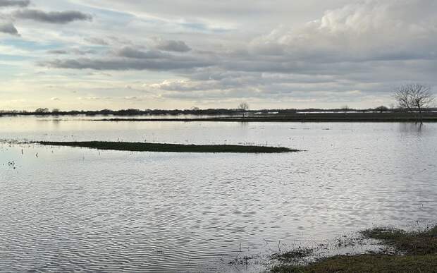 Вода в Оке у Рязани 14 апреля упала ниже пяти метров