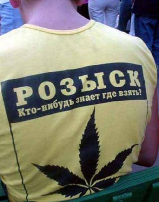розыск