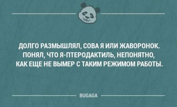 Прикольные высказывания в картинках с надписями. Часть 51 (18 шт)
