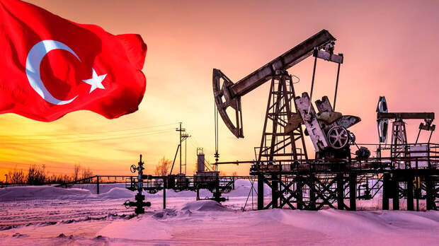 Турция готова при необходимости закупать и транспортировать нефть из РФ