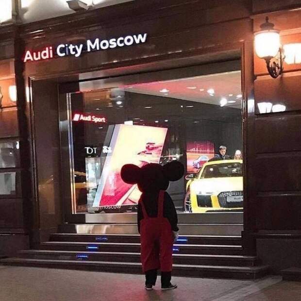 Подборка прикольных картинок