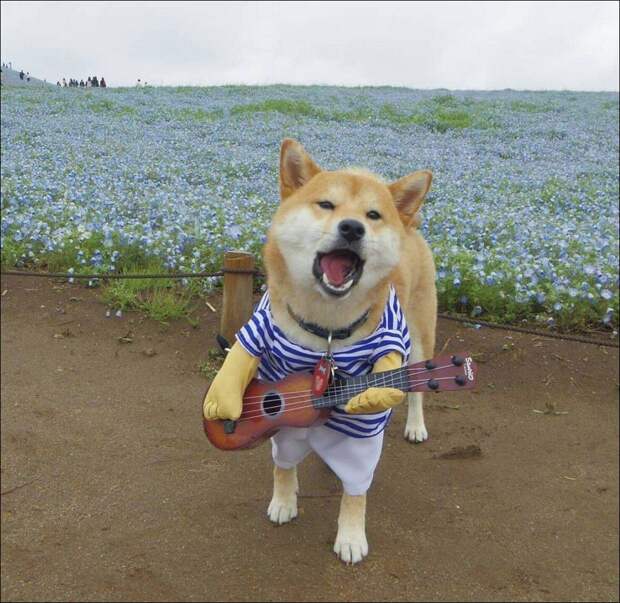 фото приколы