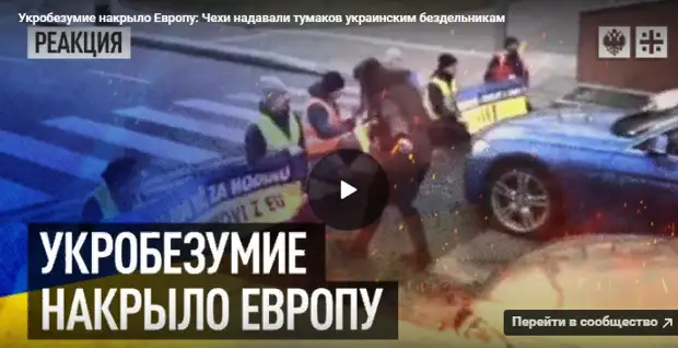 СУПЕРГЕРОИ ВСЕЛЕННОЙ ДУДЯ: ШКОЛА АНГЛИЙСКОГО ЯЗЫКА СРЕДИ БЕЛЫХ ОВЕЧЕК