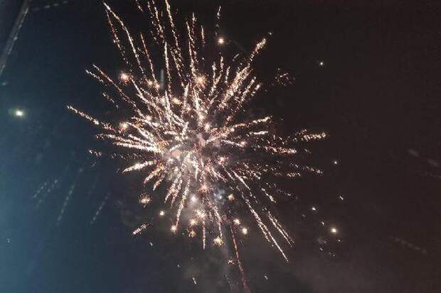 Тамбовчане рассказали, где они планируют отмечать Новый год