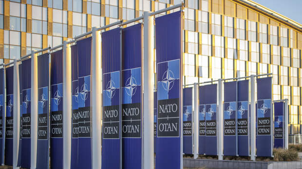 Бауэр: на саммите в США не будут говорить о сроках вступления Украины в НАТО