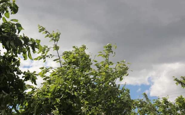 На Рязанскую область 13 июня может обрушиться шторм