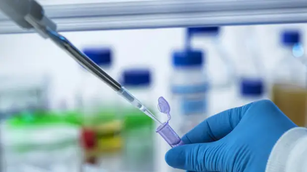 В ХМАО проводят проверку обоснованности цен на ПЦР-тесты