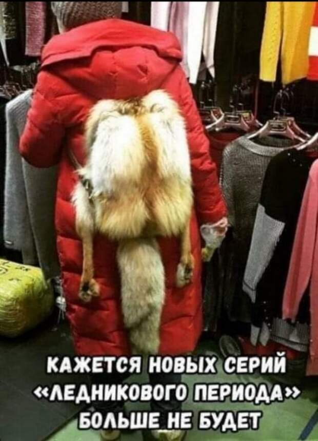 Юмор на любителя Юмор на любителя