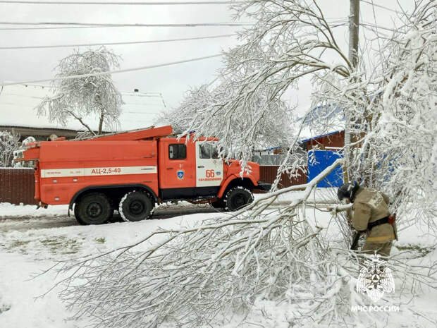 Снегопад обрушил деревья на машины в российском городе