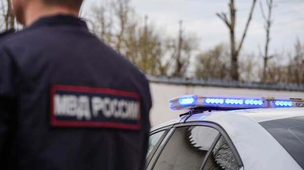 Закопанное в грядке с укропом тело мужчины нашли в Петербурге