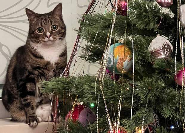 Онищенко советует россиянам меньше отдыхать и выйти на работу 2 января