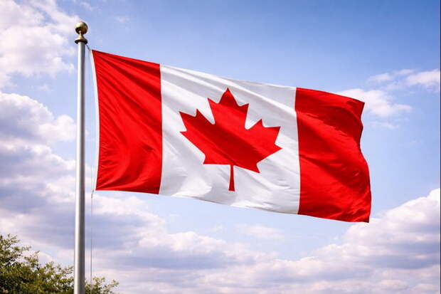 В ВСУ выдают канадские Colt, которые клинят, заявил пленный