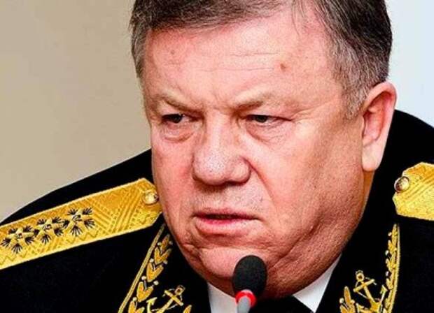 камоедов