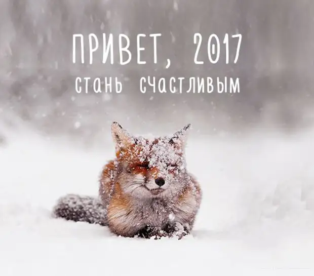 Привет 2017