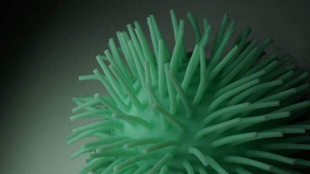 Московские врачи за сутки вылечили 191 человека от коронавируса