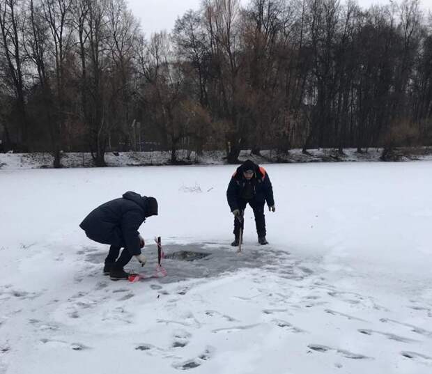 Аэрация водоемов на природных территориях «Кузьминки-Люблино». Фото: ГПБУ "Мосприрода" Аэрация водоемов на природных территориях «Кузьминки-Люблино». Фото: ГПБУ "Мосприрода"