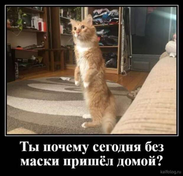 Демотиваторы про коронавирус с надписями. Подборка chert-poberi-dem-koronavirus-chert-poberi-dem-koronavirus-59220329102020-18 картинка chert-poberi-dem-koronavirus-59220329102020-18
