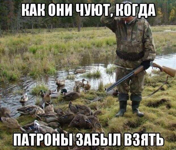 Смешные картинки с надписями прикол, юмор