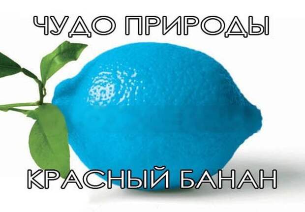 1414737495_podbormK