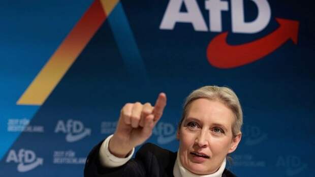 Spiegel: суд в ФРГ запретил называть АдГ правоэкстремистской организацией