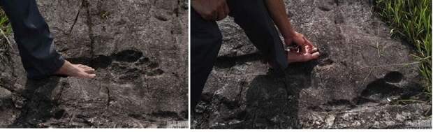 Источник: http://sputniknews.com/asia/20160826/1044675617/china-footprint-discovery.html 