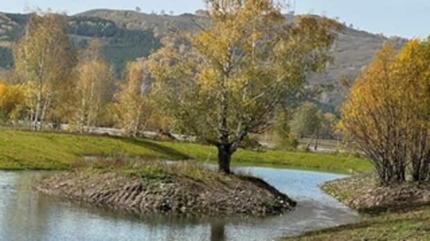 Участок на Чарыше / Фото предоставлено Вячеславом Немцовым