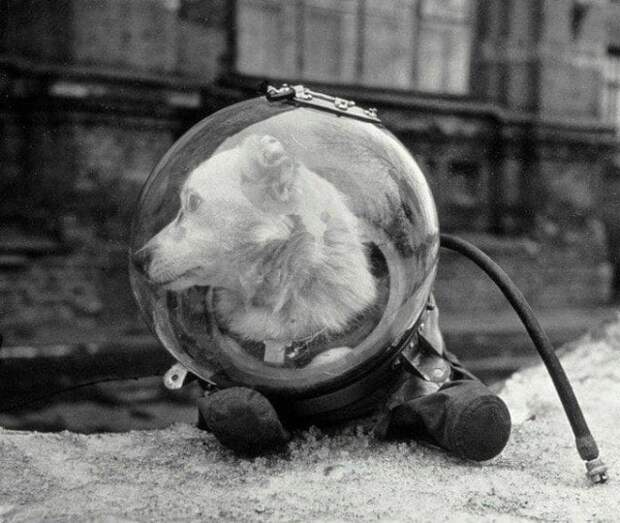 Редкие исторические фотографии прошлого