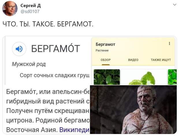 узнал что такое бергамот