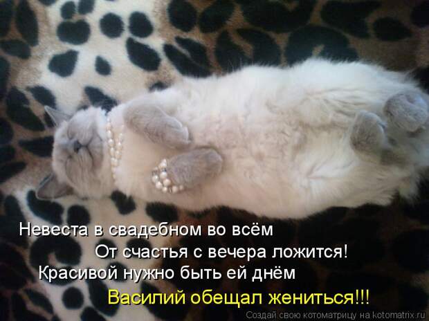 Котоматрица: Невеста в свадебном во всём От счастья с вечера ложится! Красивой нужно быть ей днём Василий обещал жениться!!!