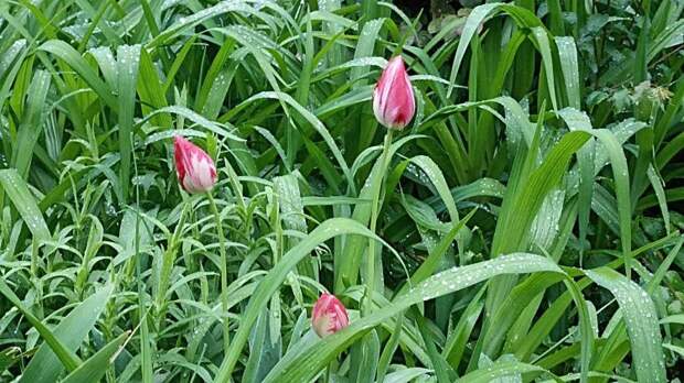 Непогода обрушится на Кубань: синоптики сделали тревожное заявление