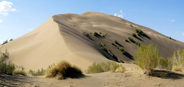 Поющий бархан. Фото: almatyregion-tour.kz