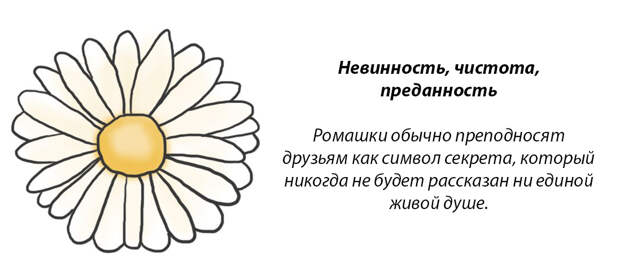 У каждого месяца есть цветок-покровитель. Какой он у вас?